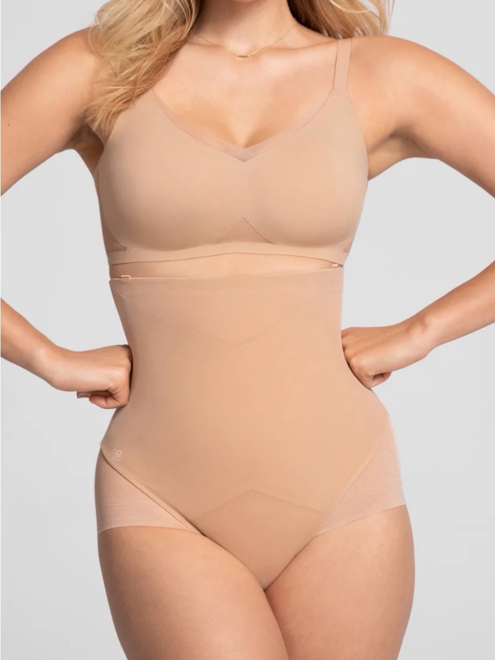 HoneyLove SuperPower Brief